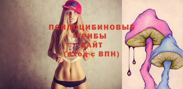 PSILOCYBIN Балахна